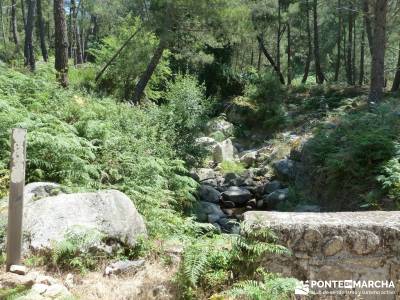 Pinares de Piedralaves; rascafria rutas senderistas brujula orientacion